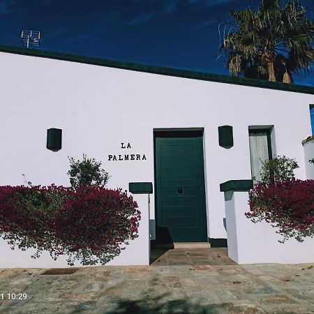 Casa La Palmera - Solo Familias Y Parejas Conil De La Frontera Eksteriør billede
