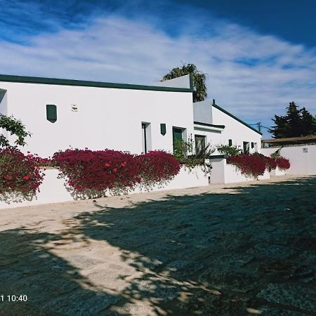 Casa La Palmera - Solo Familias Y Parejas Conil De La Frontera Eksteriør billede