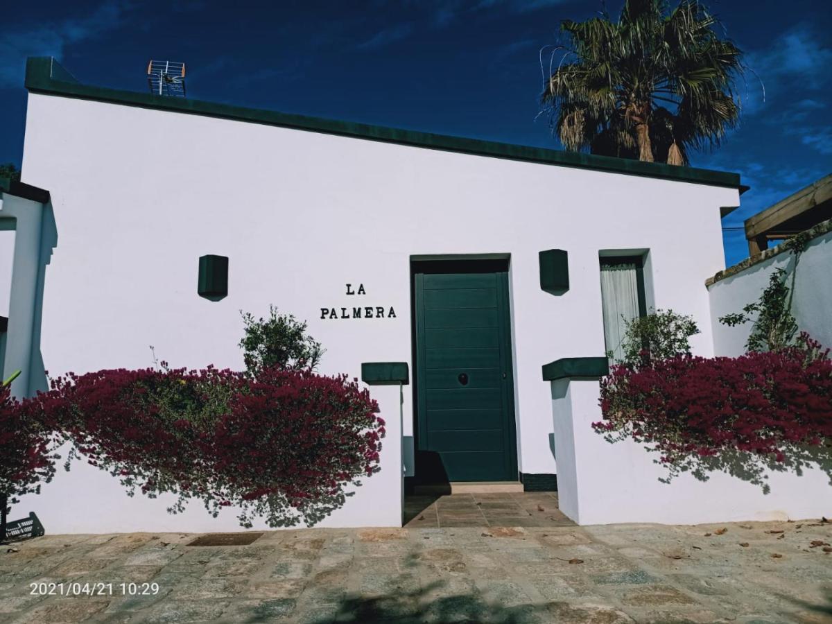Casa La Palmera - Solo Familias Y Parejas Conil De La Frontera Eksteriør billede