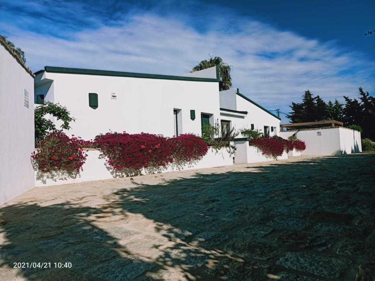 Casa La Palmera - Solo Familias Y Parejas Conil De La Frontera Eksteriør billede
